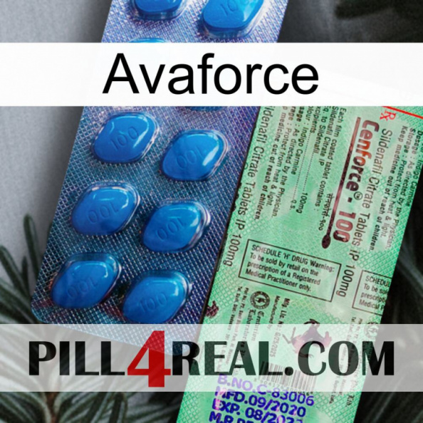 Avaforce new02.jpg